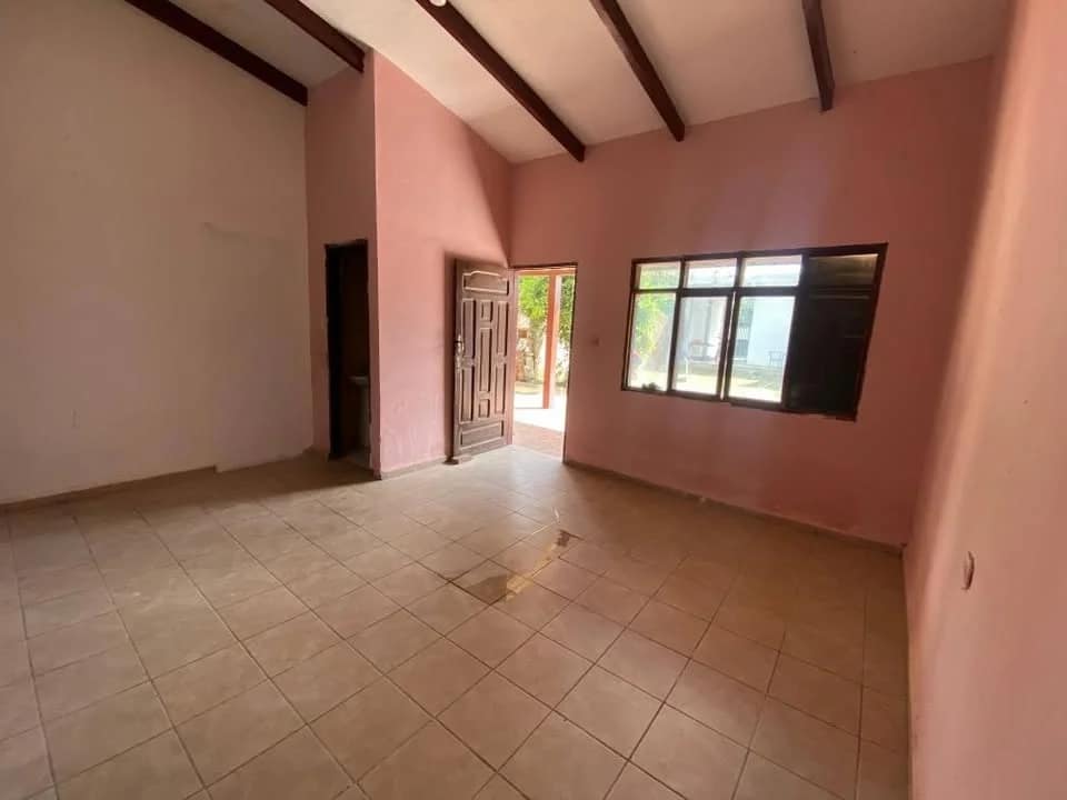 DEPARTAMENTO O CASITA SEMI INDEPENDIENTE, foto 3